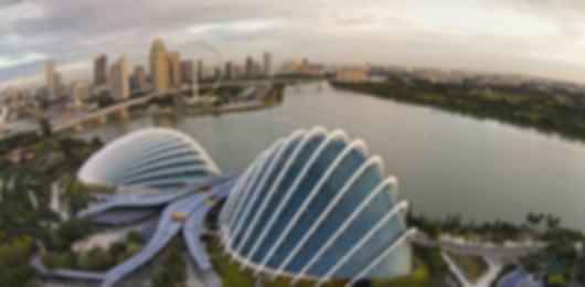 Singapore Delights: Family Bonding in the City-State