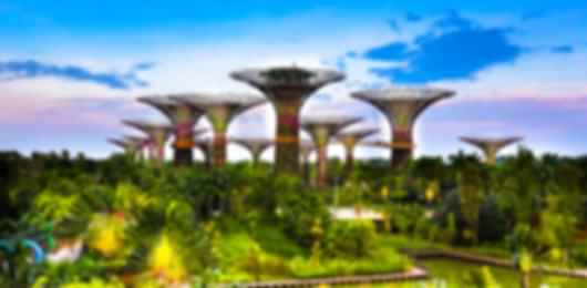 Family Escapes: Creating Memories in Singapore