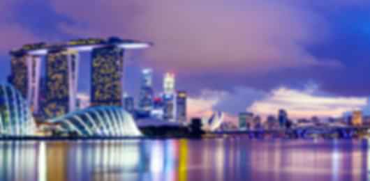 Singapore Safari: A Wild Family Adventure
