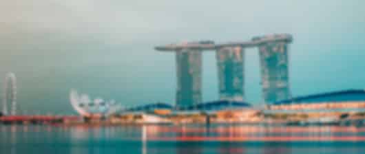 Cruise to Cityscape: Discovering Singapore's Wonders