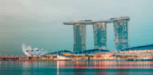 Cruise to Cityscape: Discovering Singapore's Wonders