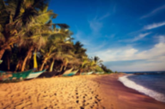 Discover Sri Lanka: 6 Nights in Kandy, Nuwara Eliya, Yala, and Bentota