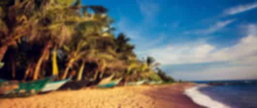 Discover Sri Lanka: 6 Nights in Kandy, Nuwara Eliya, Yala, and Bentota