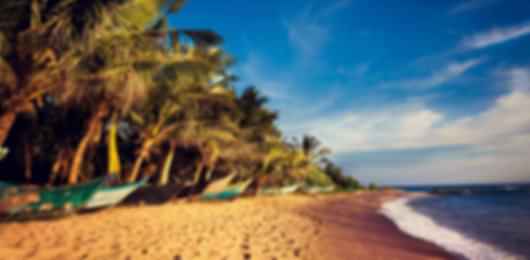 Discover Sri Lanka: 6 Nights in Kandy, Nuwara Eliya, Yala, and Bentota