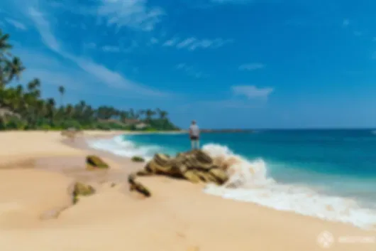 Enchanting Sri Lanka: 7 Nights Exploring Kandy, Nuwara Eliya, Yala, and Bentota