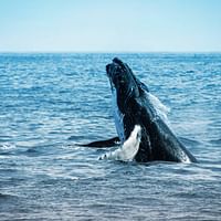 10 Day USA Itinerary for a west coast adventure!
