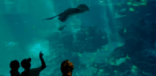 Stunning 6 night Singapore Family Vacation
