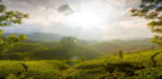 Sri Lanka Package : Explore Kandy & Nuwara Eliya’s Beauty