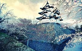Fun 7 Nights Japan Family Package