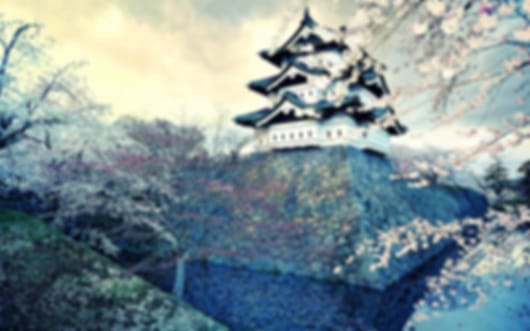 Fun 7 Nights Japan Family Package