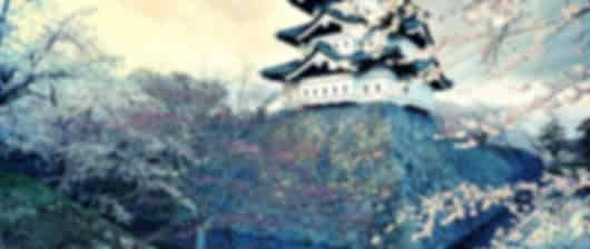 Fun 7 Nights Japan Family Package