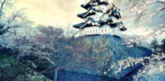 Fun 7 Nights Japan Family Package