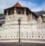 Kandy City Cultural Tour - Kataragama Devalaya, Peradeniya Botanical Gardens, Temple of the Tooth Relic & Gem Museum