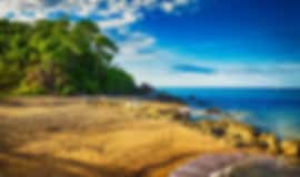 Family Retreat: 12 Nights In Melbourne, Cairns, Gold Coast And Sydney