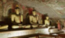 Family Getaway: 6 Nights In Kandy, Dambulla, Nuwara Eliya, Galle And Mirissa