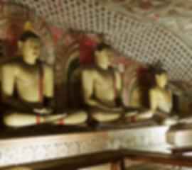 Magnificent 9 Days Honeymoon Package to Sri Lanka