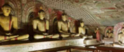 Incredible 5 Nights Sri Lanka Family Vacation to Fun & Frolic
