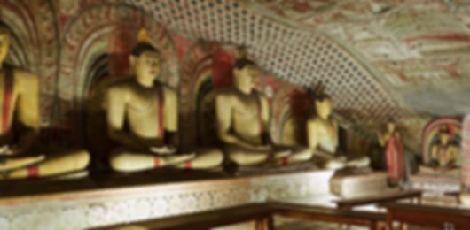 Lovely 5 Day Sri Lanka Honeymoon Itinerary For The Newly-weds