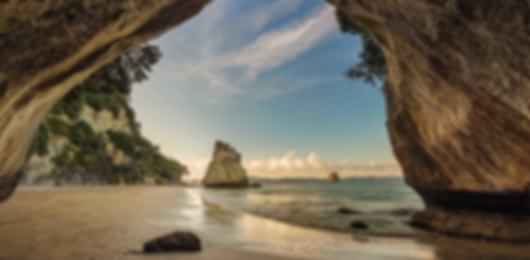 Fun 6 Days New Zealand Group Package From Chennai