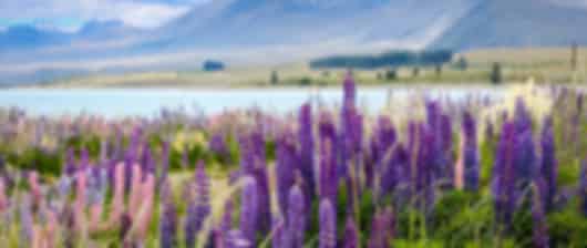 Beauty overloaded : A 15 day New Zealand itinerary