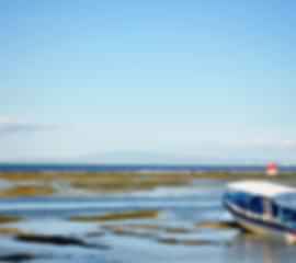 4 nights 5 days Breathtaking Bali Honeymoon Package