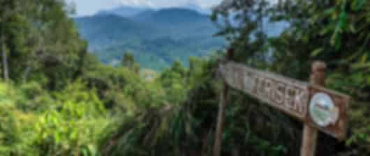 Serene 8 Nights Malaysia Tour Packages From Bangalore