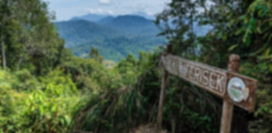 Amazing 11 Nights Malaysia Honeymoon Package From Pune