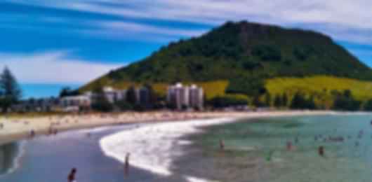 8 beautiful nights in Nelson, Wellington and other parts of New Zealand