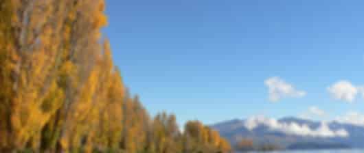 15 Days Travel Package From Chennai To New Zealand