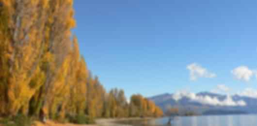 The fabulous 15 night New Zealand Honeymoon itinerary