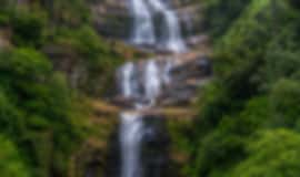 Family Getaway: 9 Nights In Kandy, Nuwara Eliya, Galle And Bentota