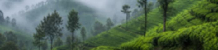 Family Getaway: 6 Nights In Kandy, Nuwara Eliya And Bentota