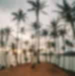Mirissa Coastal Day Tour - Parrot Rock, Coconut Tree Hill & Beaches