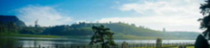 Family Escape: 4 Nights In Nuwara Eliya And Bentota