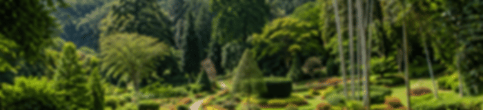 Couple Holiday: 5 Nights In Kandy And Colombo