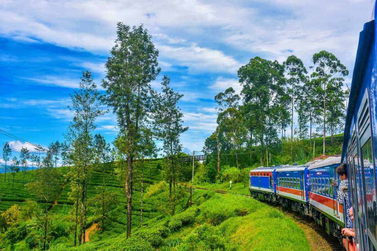 Nuwara Eliya City Tour - Gregory Lake, Tea Factory, Hakgala Gardens and Seetha Amman Temple