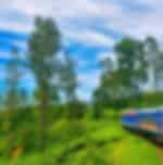 Nuwara Eliya City Tour - Gregory Lake, Tea Factory, Hakgala Gardens and Seetha Amman Temple