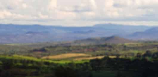 Wild Tanzania & Zanzibar: Safari Meets the Sea