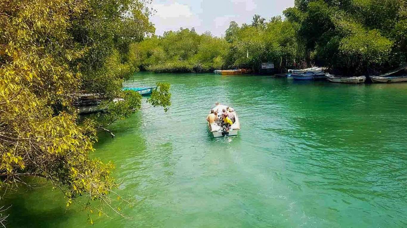 Transfer with Madhu River Ride, Turtle Hatchery and Water Sports En-Route
