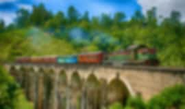 Family Holiday: 8 Nights In Ella, Nuwara Eliya, Mirissa And Colombo