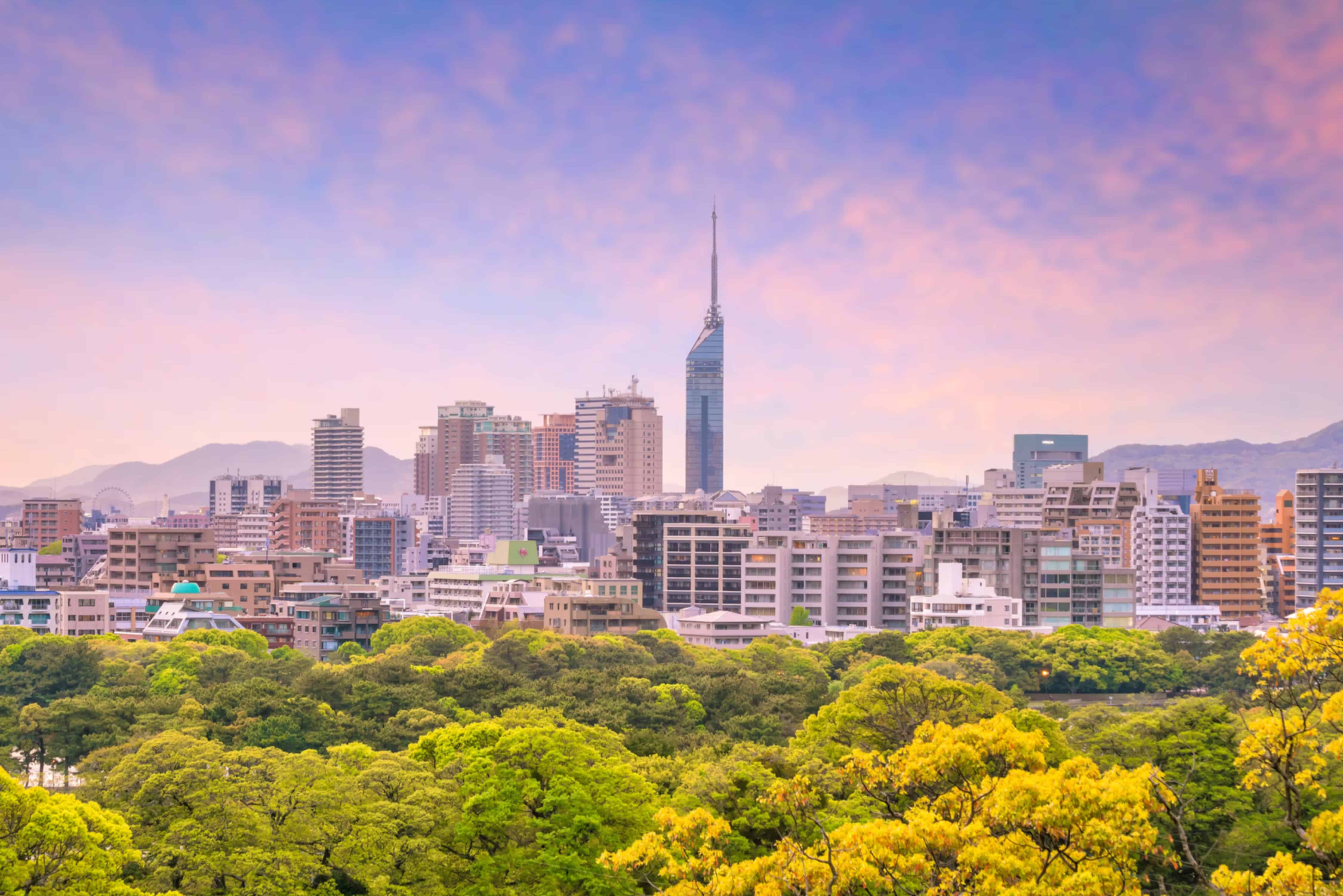 Itinerary banner