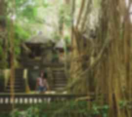 Honeymoon special: exciting 10 night trip to Indonesia + Vietnam + Malaysia