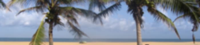 Family Retreat: 14 Nights In Kandy, Nuwara Eliya, Galle, Mirissa, Negombo And Colombo