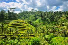 Bali 10 Nights 11 Days Adventure Itinerary