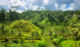 Couple Getaway: 6 Nights In Seminyak, Kuta And Ubud