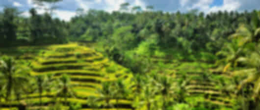 Bali 3 Nights 4 Days Luxury Itinerary