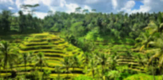 Honeymoon special: exciting 10 night trip to Indonesia + Vietnam + Malaysia