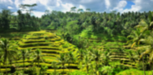 Bali 3 Nights 4 Days Luxury Itinerary