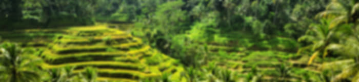 Couple Getaway: 6 Nights In Kuta And Ubud