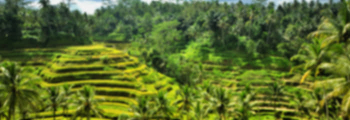 Honeymoon special: exciting 10 night trip to Indonesia + Vietnam + Malaysia